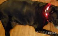 img 1 attached to Taglory Light Up Dog Collars With AirTag Holder, Tpye C Rechargeable Led Dog Collar For Night Walking, 4 Colors And 4 Sizes Waterproof Glow In The Dark Dog Collars For Medium Dogs, Red review by Justin Ewing