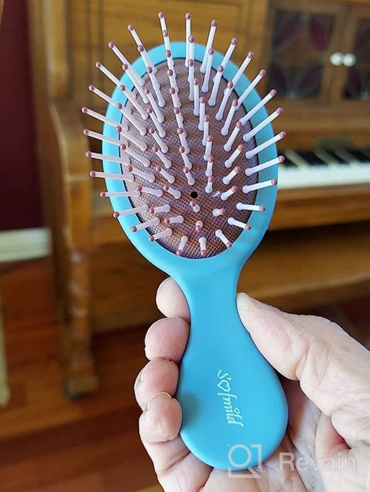 img 1 attached to Travel-Friendly Bamboo Hair Brush For Women, Men, And Kids - Anti-Static Detangler Brush For Effortless Tangle-Free Hair review by Dinero Bentz