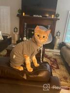 img 1 attached to Surgical Recovery Suit For Cats - Male And Female Abdominal Wounds, Anti-Licking And Skin Disease Pajama, Cone E-Collar Alternative With Soft Fabric - Professional Pet Onesies review by Saradhi Suter