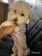 img 1 attached to Small Flower Pink Puppy Tutu Skirt Dog Dress - Cute And Stylish Pet Outfit! review by Warrick Batebi