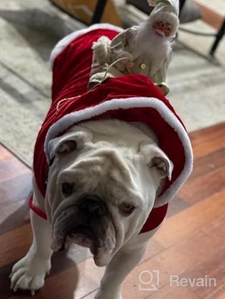 img 1 attached to XX-Large Red Santa Claus Riding Dog Costume For Christmas Party Outfit - Lewondr Pet Apparel review by Lex Ismael