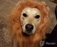 img 1 attached to Kyerivs Lion Mane For Dog - Large Medium With Ears Pet Lion Mane Costume Button Adjustable Holiday Photo Shoots Party Festival Occasion Light Brown review by Craig Edwards