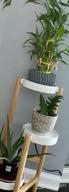 img 1 attached to 3 Tier Bamboo Plant Stand - Elegant Corner Display Holder For Indoor And Outdoor Garden, Home Decor And Plant Display Rack (3 Tier - 1) review by Tyson Burch