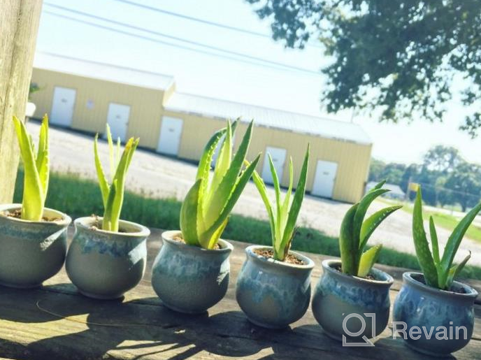 img 1 attached to Enhance Your Décor with the Eye-Catching Goldblue Flowing Glaze Ceramic Succulent Plant Pot - Perfect for Cactus, Flowers, and More! (6 Colors*2, Set of 12) review by Leroy Stanton