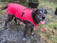 img 1 attached to Waterproof Reflective Winter Dog Jacket With Reversible Stormguard, Windproof Coat For Cold Weather, Warm Coat Vest For Small, Medium, Large Dogs - Red (Size S) By MIGOHI review by Chris Hall