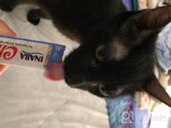 img 1 attached to Soft And Chewy Grain-Free Chicken Cat Treats With Vitamin E - 24 Tubes (4 Per Pack) - INABA Churu Pops review by Alicia Hercules