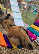 картинка 1 прикреплена к отзыву KATUMO Chicken Swing Perch Toy - Handmade Hanging Stand For Chickens, Hens, Birds & Parrots Training - Colorful Coop Accessory 112Cm/44.09'' Long от Corey Nyuon