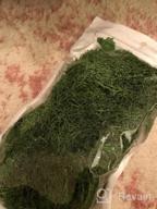 img 1 attached to Chartreuse Preserved Stardom Moss - Perfect For Fairy Gardens, Terrariums, Craft Projects & Weddings (3OZ) review by Christopher Karamba