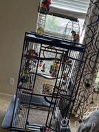 img 1 attached to Large Double Ladders Open Play Top Wrought Iron Bird Parrot Parakeet Finch Macaw Cockatoo Cage, Include Seed Guard And Toy Hook (39.5" L X 30.5" W X 67" H, Black Vein) review by Carlos Cardoso