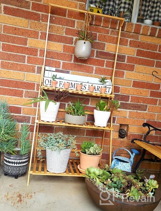 img 1 attached to COPREE Bamboo 3-Tier Hanging Plant Stand: Organize Your Garden In Style! review by Jeff Ross