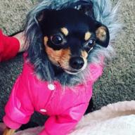 img 1 attached to Warm & Windproof Dog Coats For Small Dogs - LesyPet Grey S review by Latarsha Spencer