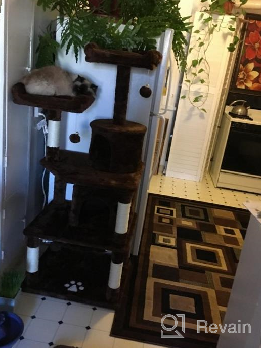 img 1 attached to 🐱 Ultimate Cat Playground: BEWISHOME Cat Tree with Scratching Posts, Condos, Perches, Balls, Hammock – Brown MMJ01Z review by Christian Bar