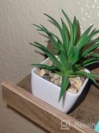 img 1 attached to Add A Touch Of Green With Veryhome'S 4Pcs Artificial Faux Succulent Mini Potted Plants For Home And Office Decor review by Reginald Truitt