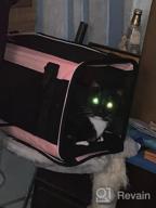 img 1 attached to Viva Magenta Soft Pet Carrier: Perfect Solution For Large And Medium Cats And Small Dogs review by Jevon Sterling