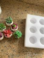 img 1 attached to Bring Home The Beauty Of Lvydec'S Mini-Sized Artificial Succulent Plants In Porcelain Pots - Perfect For Home, Bath, Or Office Decor! review by Jason Hill