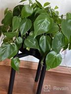 img 1 attached to 2-Pack Metal Plant Stand - Adjustable Width Fits 8 To 12 Inch Pots, Mid-Century Flower Holder For Corner Display - Black (Planter And Pot Not Included) review by Carlos Henley