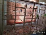 img 1 attached to Spacious Wrought Iron Double Breeding Bird Cage With Slide-Out Divider, 3 Levels Of Abode For Parrots, Cockatiels, And Conures, 63" L X 19" D X 64" H With Rolling Stand review by Kristopher Rodriguez