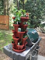 img 1 attached to Maximize Your Strawberry Yield With Mr. Stacky'S 5-Tier Planter Pot - 5 Pots To Grow Even More! review by Imed Artun