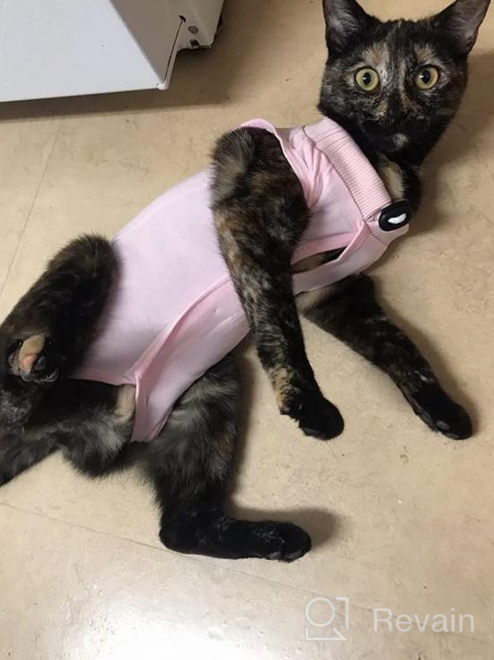 img 1 attached to Cat Surgery Recovery Suit: Surgical Abdominal Wound Protection For Indoor Pets - E-Collar Alternative Post-Surgery Pajama Suit review by Daniel Pierce