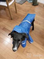 img 1 attached to Stay Stylish And Safe In The Rain With NINEMAX Dog Raincoat - Adjustable Pet Jacket With Reflective Strip For Medium To Large Dogs review by Marcus Dorgham