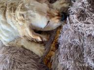 картинка 1 прикреплена к отзыву K9Warehouse Meaty Dog Bones For Agressive Chewers - Сделано в США и долговечны - 3 упаковки длиной 8 дюймов - Лучше всего для средних и крупных собак - 100% натуральные говяжьи кости голени с костным мозгом - Занимают собак от Kimoni Parson