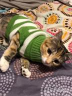 картинка 1 прикреплена к отзыву Очень тянущийся и мягкий полосатый свитер в стиле котика для кошек и маленьких собак - вязаная одежда Evursua для самцов и самок (S, синий) - сохраняющая их теплыми и модными от Matt Charlton