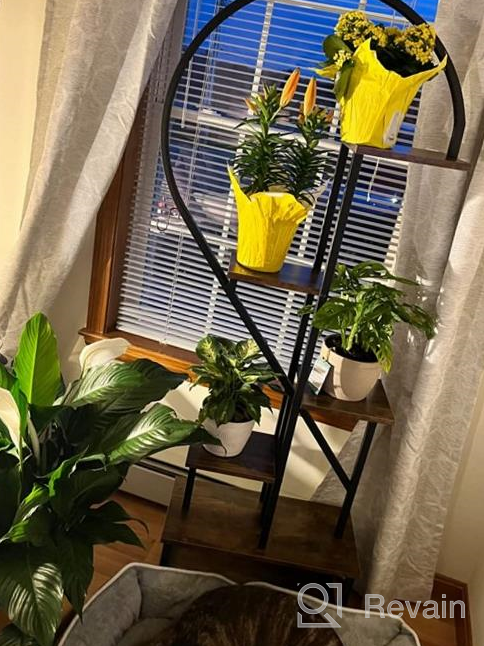 img 1 attached to 2 Pack Half Heart Shape Ladder Plant Stand For Indoor Plants - 6 Tier Metal Shelf Rack For Home Patio Lawn Garden By POTEY review by Bryan Crayton