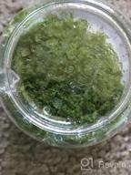 img 1 attached to Live Freshwater Aquarium Plants: Dwarf Baby Tears, Hemianthus Callitrichoides, Java Moss In Vitro TC Cup By Greenpro review by Donald Cox