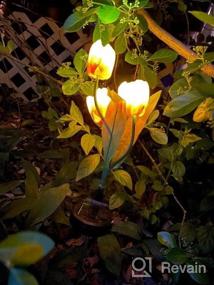 img 5 attached to Tulip Solar Garden Lights - украсьте свое открытое пространство автоматическими солнечными цветочными фонарями