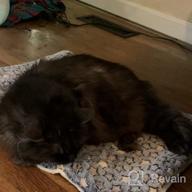 картинка 1 прикреплена к отзыву Light Blue FJWYSANGU Fluffy Pet Cat Blanket - Soft Coral Velvet Cushion Mat For Puppy Warm Cover Pad от Tommy Almasri