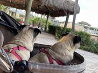 img 1 attached to Hauck Tog Fit Pet Roadster - Perfect For Traveling With Your Furry Friend! review by Daniel Anderson