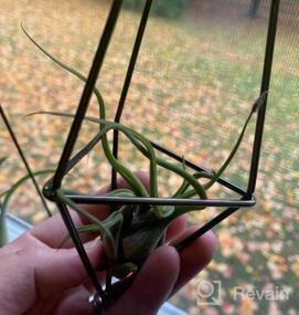 img 7 attached to Chic Air Plant Decor: Dahey'S Himmeli Geometric Display In Bronze