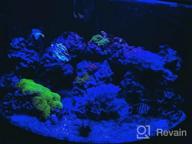img 1 attached to Phlizon 165W Dimmable LED Aquarium Light For Saltwater/Freshwater Fish Coral Reef (20"X7"X2.4") review by Natasha Graham