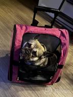 img 1 attached to 🐾 KOPEKS Deluxe Backpack Pet Travel Carrier with Double Wheels - Heather Pink - Airlines Approved: Comfortable & Convenient Pet Transport Solution review by Sri Wells