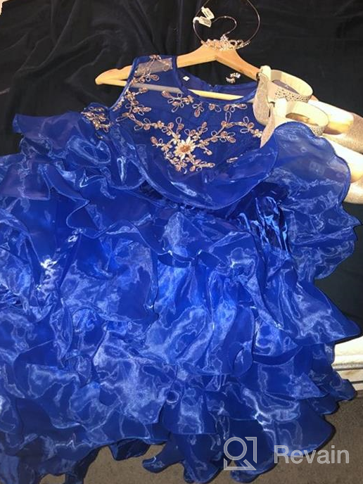 img 1 attached to 👗 Vintage Ruffle Lace Flower Girl Princess Tutu Dress for Wedding, Bridesmaid, Pageant, and Communion - Formal Trailing Gown for Parties review by Michelle Marsden