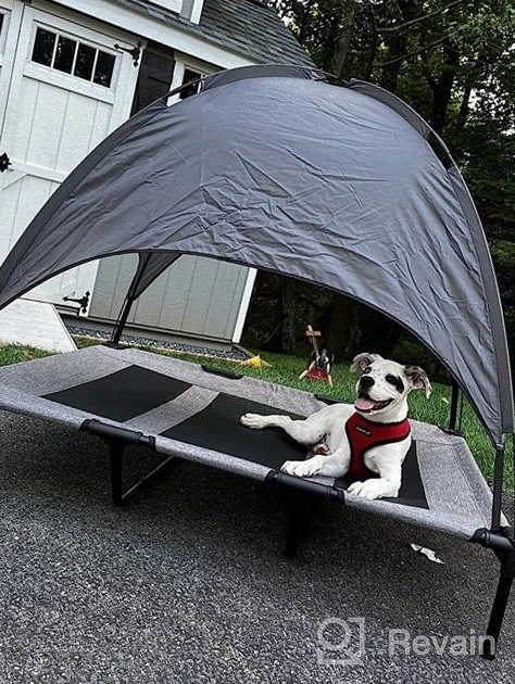 img 1 attached to XL Elevated Outdoor Dog Bed With Canopy, Portable And Durable 1680D Oxford Fabric, Ideal For Camping Or The Beach - Superjare, Brown With Extra Carrying Bag review by Jennifer Moore