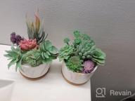 img 1 attached to Stylish And Practical Ceramic Succulent Planters With Drainage Tray - Set Of 4 By DeeCoo review by Nate Mims