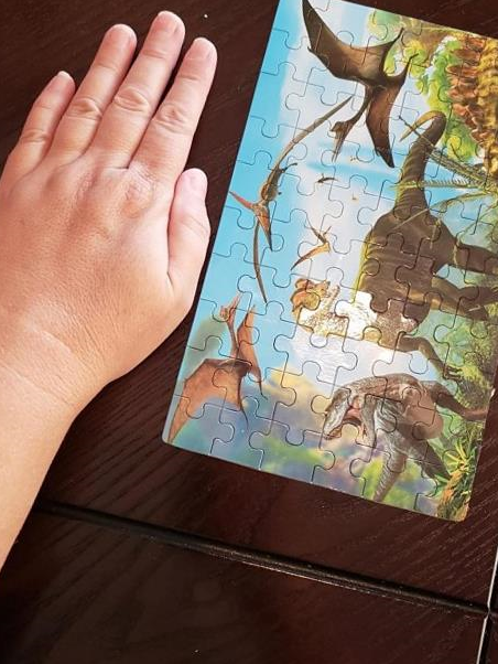 img 1 attached to 2 Pack Wooden Dinosaur Puzzle - 60 Pieces For Kids Ages 3-12 | Perfect Boys & Girls Gift! review by Alexander Morgan