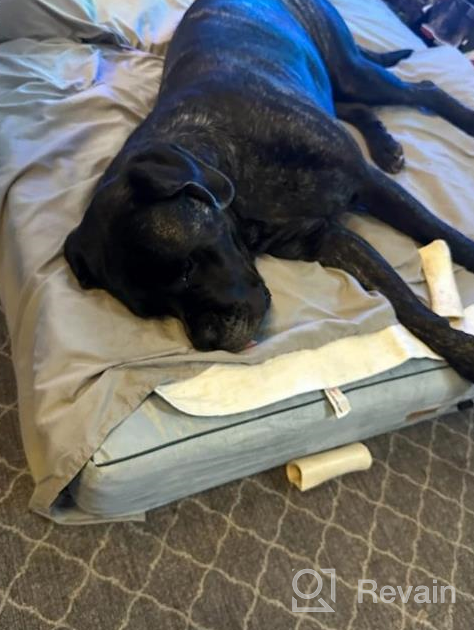 img 1 attached to Orthopedic Memory Foam Pet Bed For Large Dogs - 7-Inch Thick With Pillow And Removable Cover - Anti-Slip Bottom And Waterproof Liner - Sturdy And Modern Design For Big Breeds - Jumbo Size review by Casey Vance