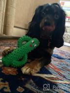 img 1 attached to Durable Squeaky Dog Toys For Aggressive Chewers - Rmolitty Tough Rubber Dental Chew Toys For Large, Medium & Small Breeds (Green) review by Paul Newton