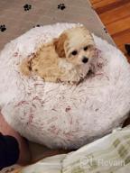img 1 attached to Calming Dog Bed Donut For Small And Medium Pets - Anti-Anxiety Fluffy Bed By NOYAL review by Ryan Rea