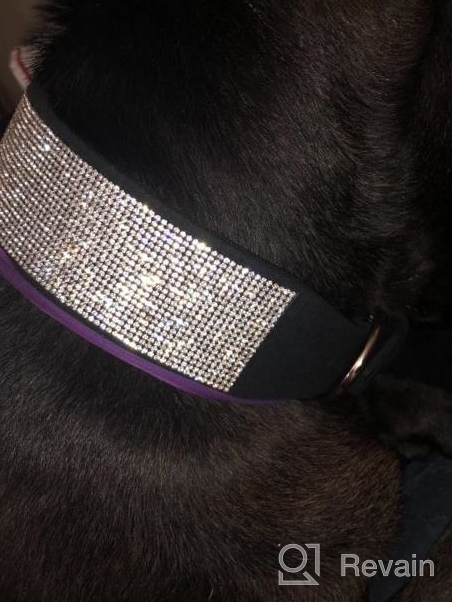 img 1 attached to Didog Rhinestone Dog Collar - Made Of Soft Velvet Colored Material - Suit For Girl Or Female Medium Large Dog Breeds review by Alex Panda