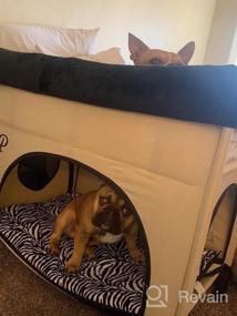 img 5 attached to Дизайн-лежак Lion's Den Petique Bedside Lounge Bunk Bed для среднего размера собак и кошек: поднятый лежак для максимального комфорта.