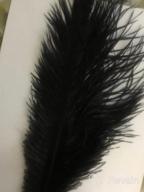 img 1 attached to 20Pcs Black Ostrich Feathers 12-14In Plumes Bulk DIY Halloween Decorations Wedding Party Centerpieces Gatsby Decorations review by Corey Harris