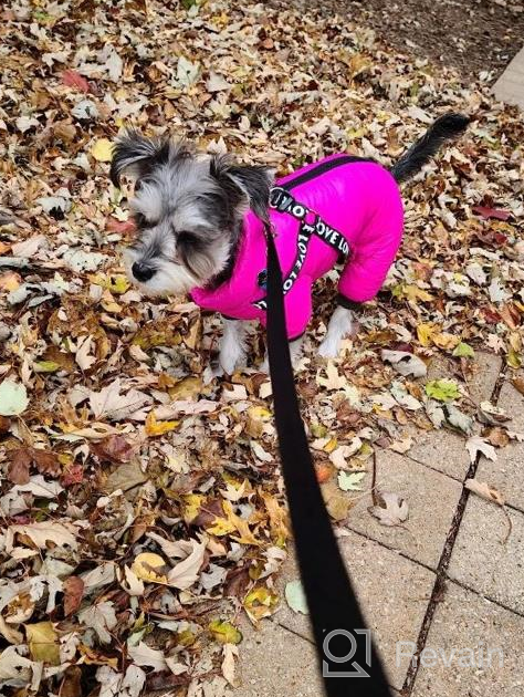 img 1 attached to Didog Winter Small Dog Coats: Waterproof, Warm & Harness Compatible For Puppy & Cat Walking Hiking - Red (Chest 13") review by Eric Timbeross