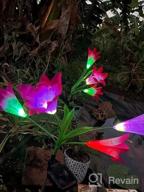 img 1 attached to 2 Pack Multi-Color Changing Lily Solar Flower Lights For Patio, Yard Decoration - TONULAX Outdoor Upgraded Solar Garden Lights With Bigger Flowers And Wider Panels (Purple & Red) review by Mike Burnett