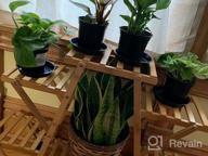 img 1 attached to Bamboo 6 Tier Rolling Plant Stand - Stylish Indoor/Outdoor Planter Display Rack For Your Patio Or Living Room review by Joe Taniguchi