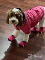 img 1 attached to Warm & Windproof Dog Coats For Small Dogs - LesyPet Grey S review by Tiffany Harvey