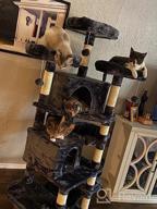 img 1 attached to Bewishome 65.3" Cat Tree For Large Indoor Cats - Multi-Level Cat Tower With Sisal Scratcher, Plush Perches, Hammock, Cat Condo Playhouse - Kitty Activity Center And Furniture (MMJ21H) review by Kyle Merriman