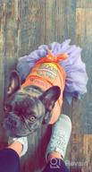 img 1 attached to Easter Dog Tutu Dress With Tulle For Small Dogs - KYEESE Puppy Sundress To Make Your Furry Friend Look Adorable! review by David Thornton